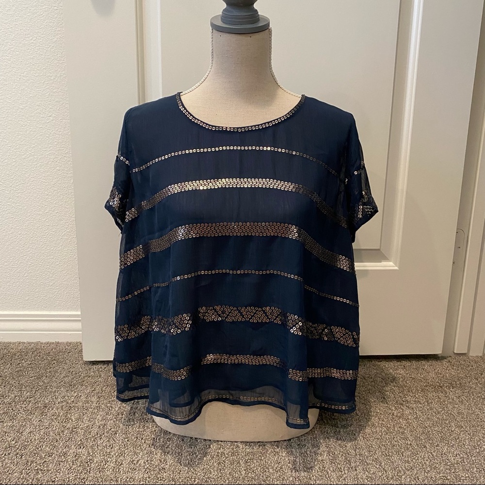 Abercrombie sequin sheer top